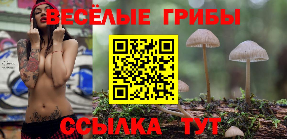 Псилоцибиновые грибы Magic Shrooms Новый Уренгой