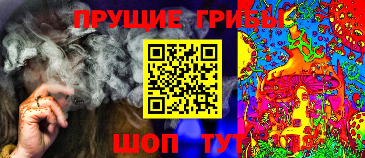Галлюциногенные грибы Psilocybine cubensis  Вход с VPN  Новый Уренгой  Галлюциногенные грибы Cubensis 
